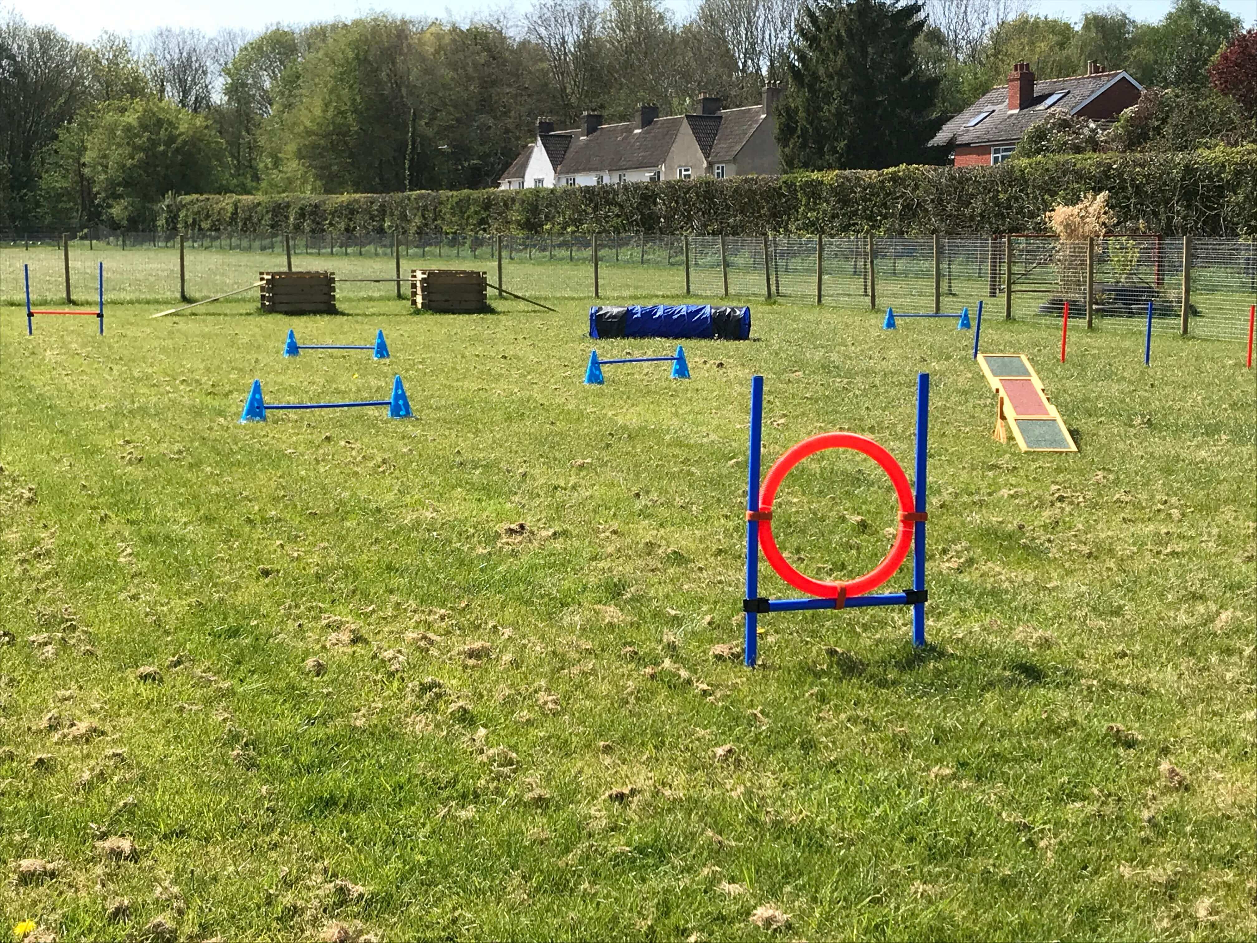 Photo of the agility paddock at Green Meadow Dog Day Care
