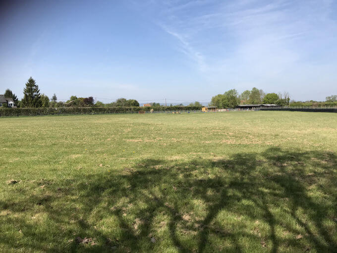 Photo of the large meadow at Green Meadow Dog Day Care