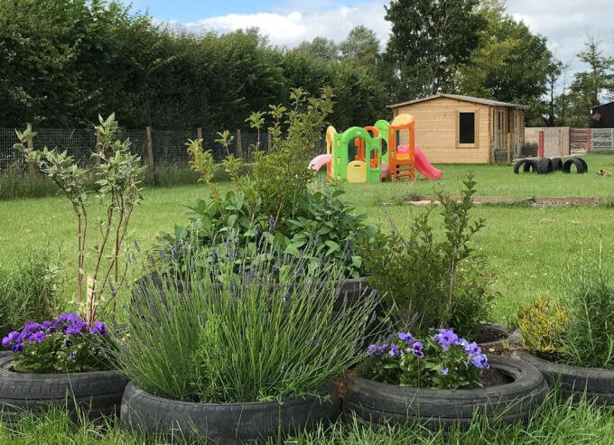 Photo of the sensory garden at Green Meadow Dog Day Care